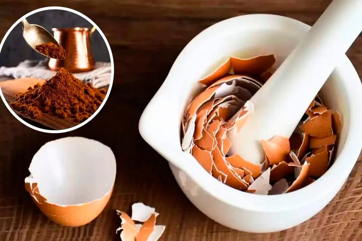 Ontdek hoe eierschalen jouw koffie en tuin opfleuren