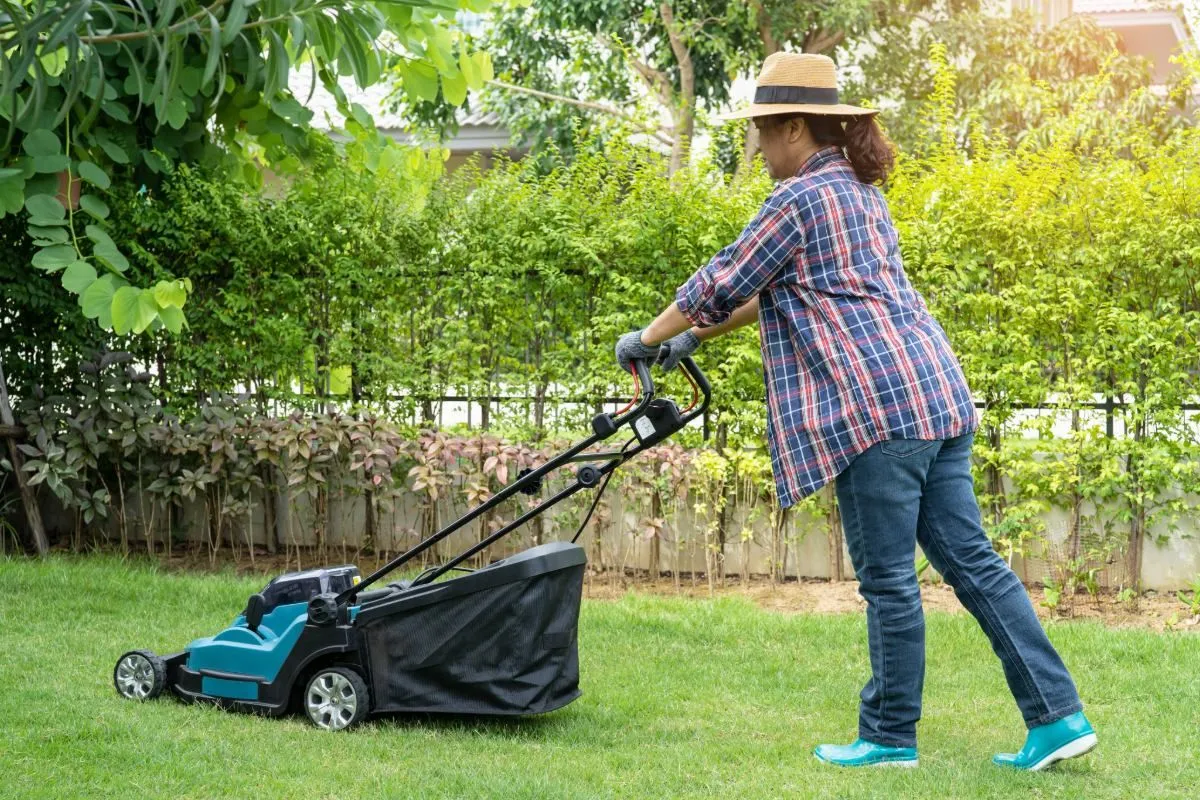 Gevolgen van kort maaien voor gazon en natuur